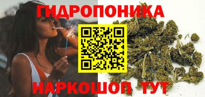 тгк Можга