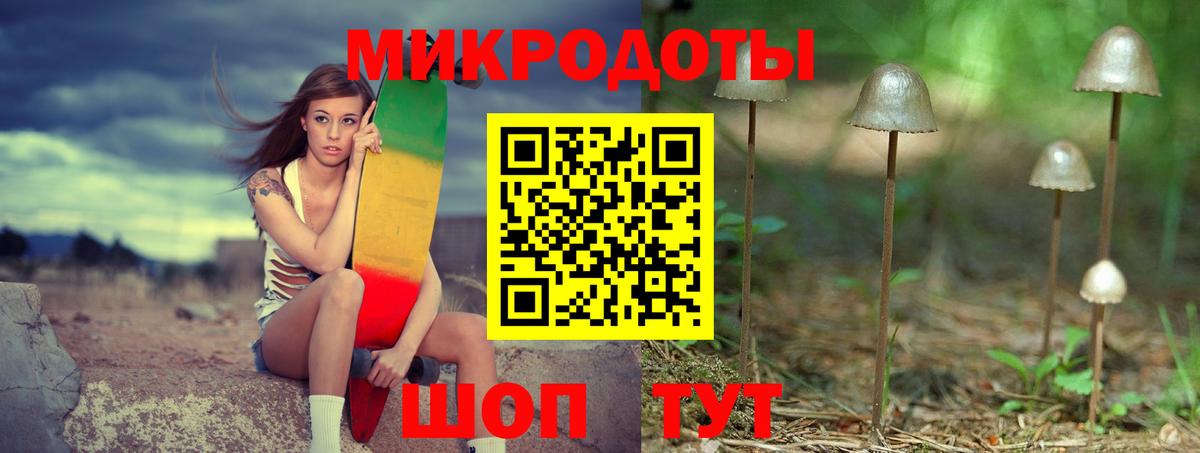 Галлюциногенные грибы Psilocybe Светлоград